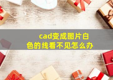 cad变成图片白色的线看不见怎么办