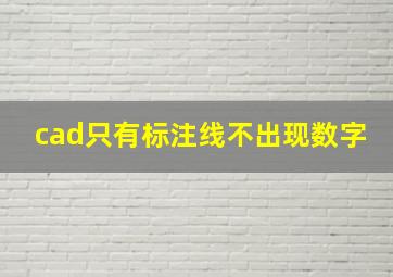 cad只有标注线不出现数字