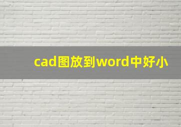 cad图放到word中好小