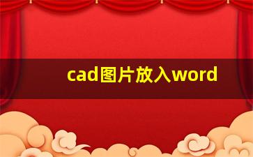 cad图片放入word