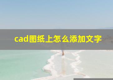 cad图纸上怎么添加文字