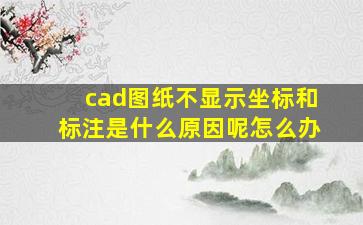 cad图纸不显示坐标和标注是什么原因呢怎么办