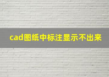 cad图纸中标注显示不出来