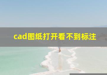 cad图纸打开看不到标注