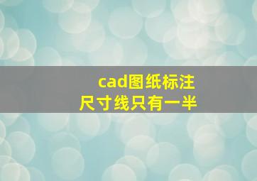 cad图纸标注尺寸线只有一半