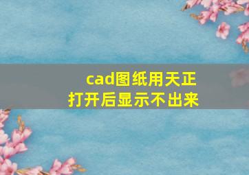 cad图纸用天正打开后显示不出来