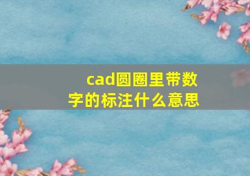 cad圆圈里带数字的标注什么意思