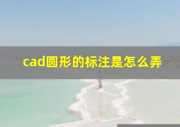 cad圆形的标注是怎么弄