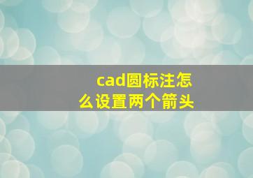 cad圆标注怎么设置两个箭头