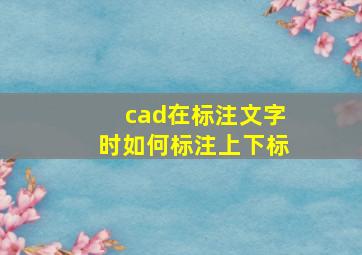 cad在标注文字时如何标注上下标