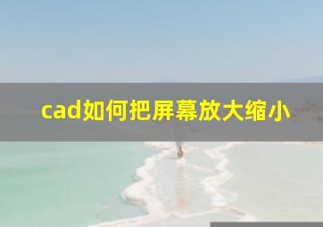 cad如何把屏幕放大缩小