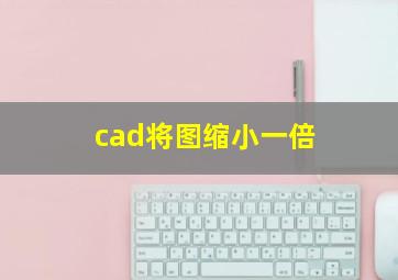 cad将图缩小一倍