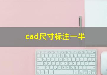 cad尺寸标注一半