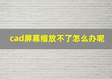 cad屏幕缩放不了怎么办呢