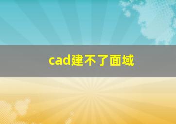 cad建不了面域