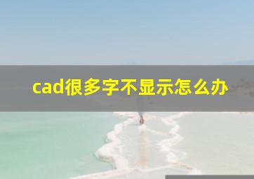 cad很多字不显示怎么办