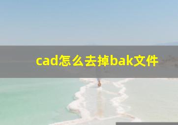 cad怎么去掉bak文件