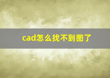 cad怎么找不到图了