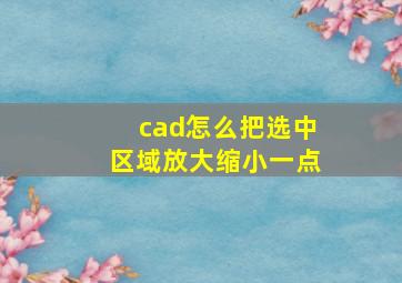 cad怎么把选中区域放大缩小一点