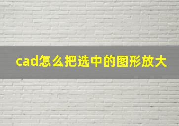 cad怎么把选中的图形放大