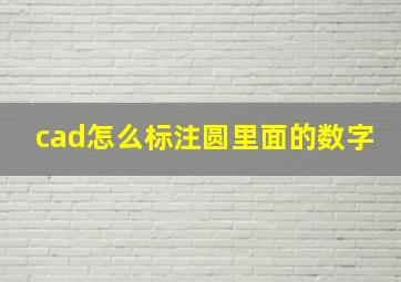 cad怎么标注圆里面的数字