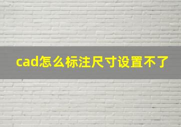 cad怎么标注尺寸设置不了