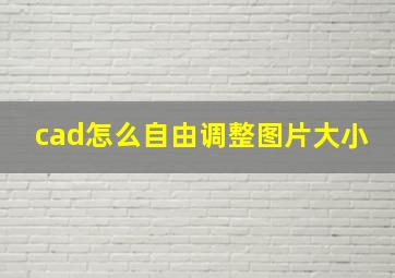 cad怎么自由调整图片大小