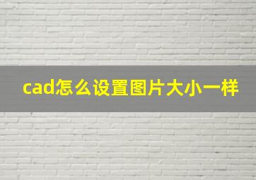 cad怎么设置图片大小一样