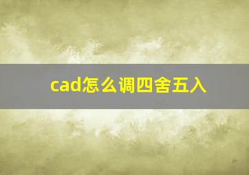 cad怎么调四舍五入