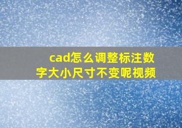 cad怎么调整标注数字大小尺寸不变呢视频