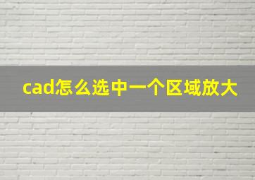 cad怎么选中一个区域放大