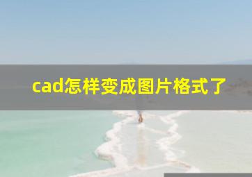 cad怎样变成图片格式了