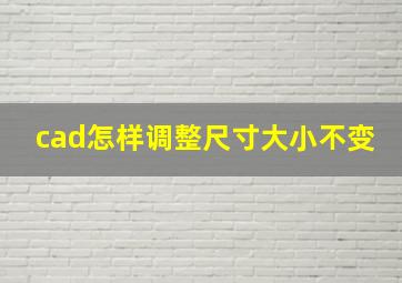 cad怎样调整尺寸大小不变