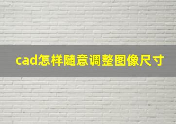 cad怎样随意调整图像尺寸