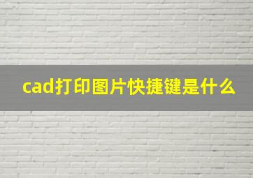 cad打印图片快捷键是什么