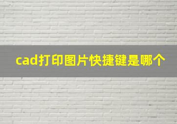 cad打印图片快捷键是哪个