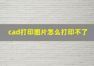 cad打印图片怎么打印不了