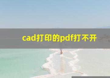 cad打印的pdf打不开