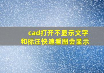 cad打开不显示文字和标注快速看图会显示