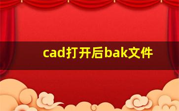 cad打开后bak文件