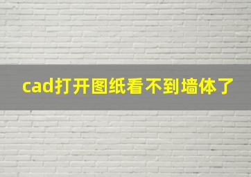 cad打开图纸看不到墙体了