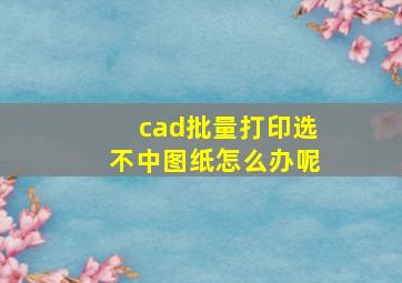 cad批量打印选不中图纸怎么办呢