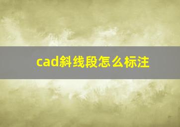 cad斜线段怎么标注