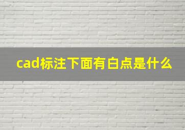 cad标注下面有白点是什么