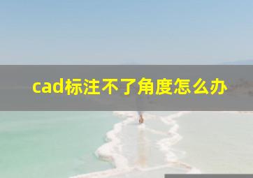 cad标注不了角度怎么办