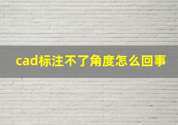 cad标注不了角度怎么回事