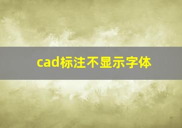 cad标注不显示字体