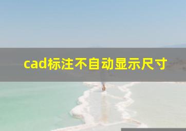 cad标注不自动显示尺寸