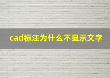 cad标注为什么不显示文字