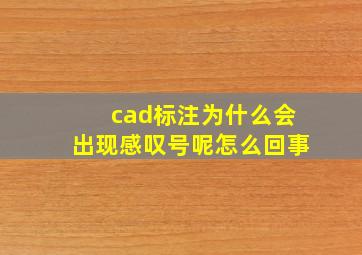 cad标注为什么会出现感叹号呢怎么回事